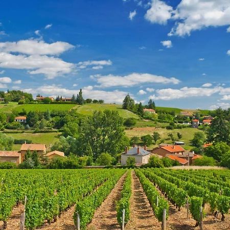 Apartament T2 Tout Equipe Au Beau Milieu Du Centre Historique Villefranche-sur-Saône Zewnętrze zdjęcie
