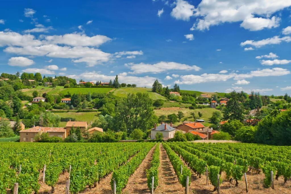 Apartament T2 Tout Equipe Au Beau Milieu Du Centre Historique Villefranche-sur-Saône Zewnętrze zdjęcie
